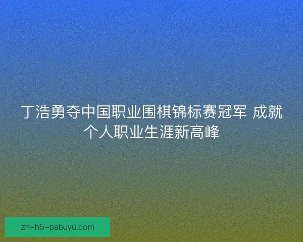 丁浩勇夺中国职业围棋锦标赛冠军 成就个人职业生涯新高峰 丁浩勇夺中国职业围棋锦标赛冠军 成就个人职业生涯新高峰